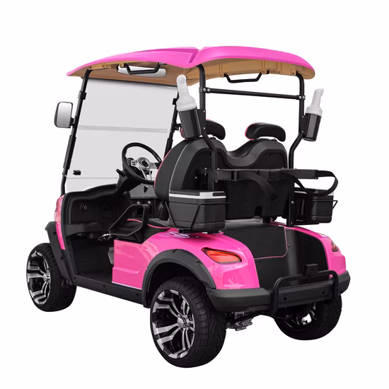 Fabricant gratuit Couleur personnalisée électrique Sport Golf Buggy Cart Batterie de gros Lsv 4 roues 2 passagers Electric Small Car Mini Car avec une seule place de luxe