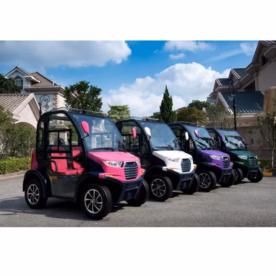 Bus de tourisme électrique Golf gros batterie passager électrique petite voiture Mini voiture 2 places