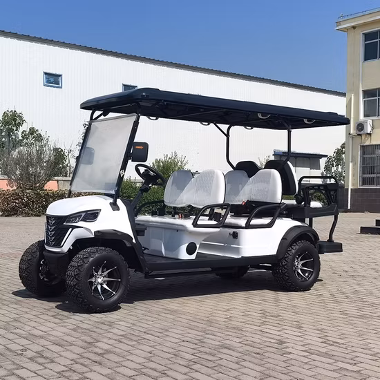 Voiture de golf électrique à 4 roues 4000W Mini voiture électrique EV